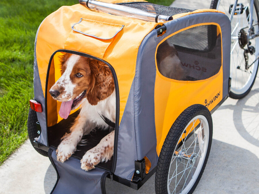 rascal pet bike trailer