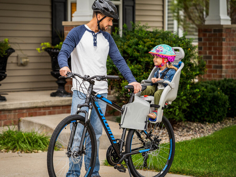 deluxe child carrier
